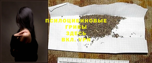 молекула духа Богородск