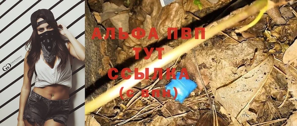 таблы Богданович