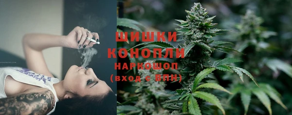 спиды Белокуриха