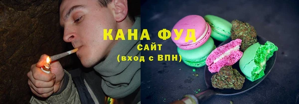 молекула духа Богородск