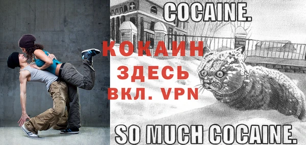 молекула духа Богородск
