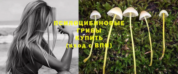 хмурый Богородицк
