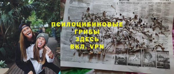 хмурый Богородицк