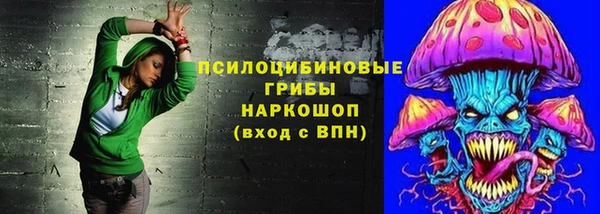 хмурый Богородицк