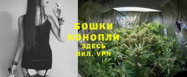 молекула духа Богородск