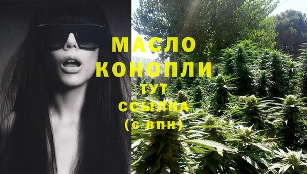 молекула духа Богородск