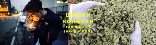 молекула духа Богородск