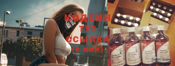хмурый Богородицк