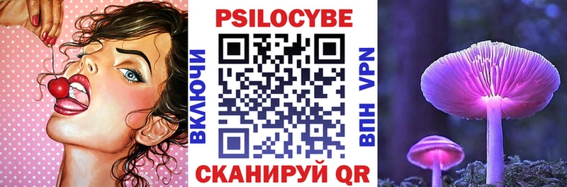 как найти наркотики  Кологрив  Псилоцибиновые грибы Psilocybe 